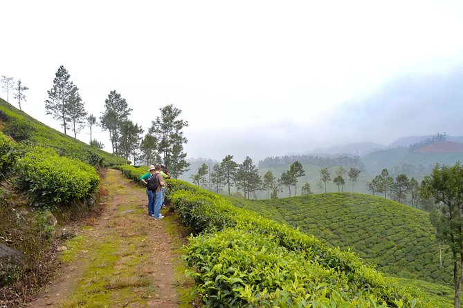 7 Days Kerala Tour- Munnar, Periyar, Houseboat & Varkala Beach - Good To Know