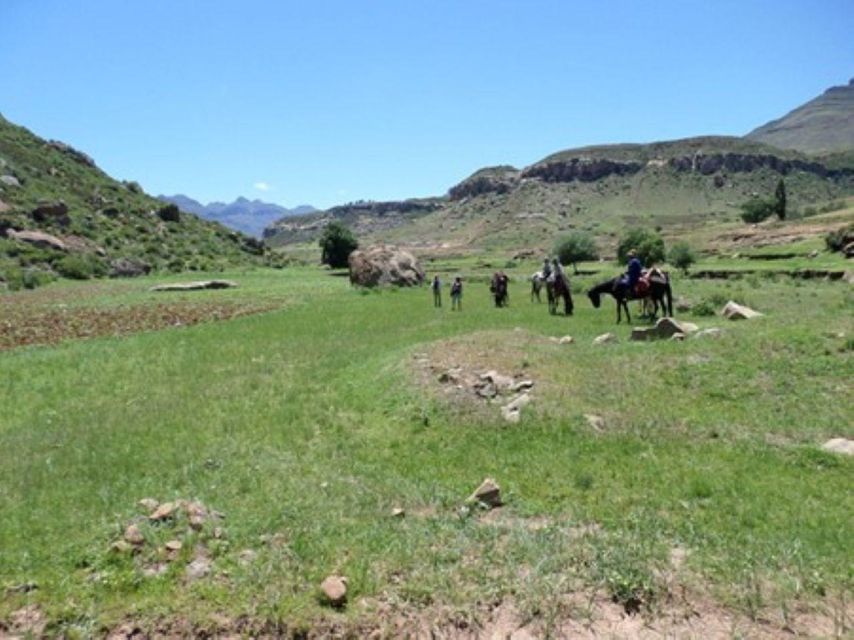 7 Nights/ 8 Days - Pony Trekking in Lesotho - Overview and Pricing