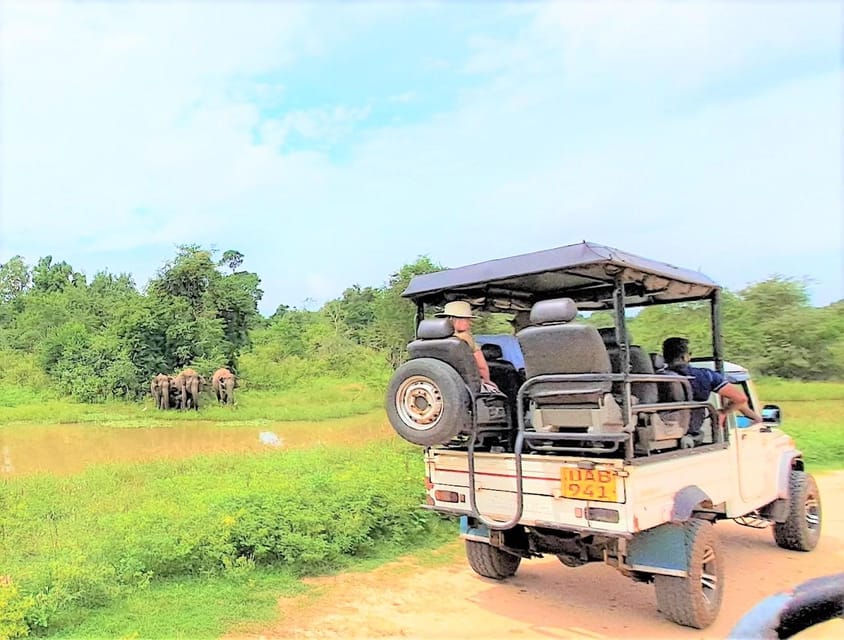 02 Days - Visit Ella and Udawalawe Safari - All Inclusive - Highlights and Experiences