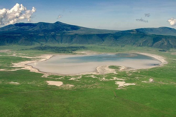 1 Day Joined Group Safari in Ngorongoro Crater National Park - Accessibility and Health Considerations