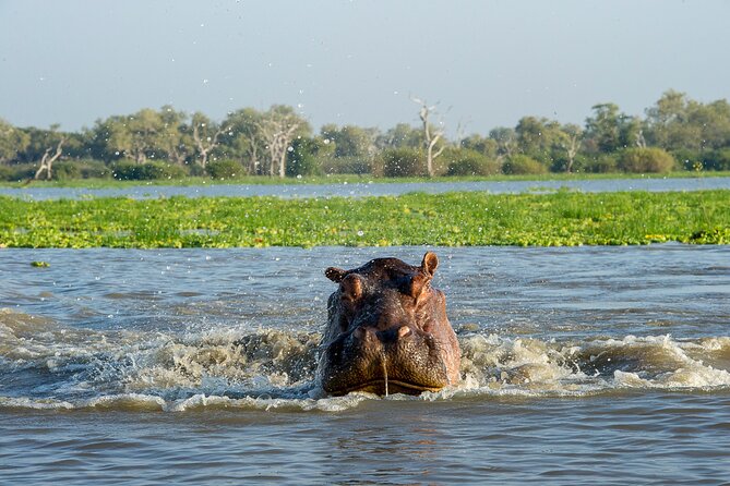 1 Day Tanzania - Selous Game Reserve Safari Tour - Safety and Precautions