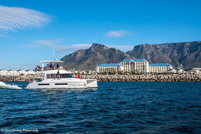 1 Hour Coastal Catamaran Cruise From Cape Town - Cancellation Policy