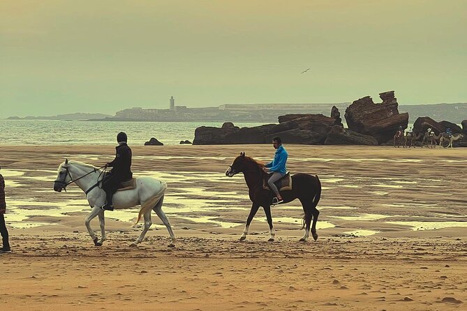 1 Hour Horse Ride on the Beach of Essaouira - Accessibility Considerations