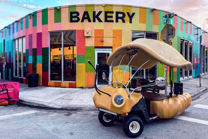 1 Hour Lady Buggy Art Tour Experience in Wynwood - Tips for an Enjoyable Experience