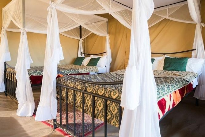 12-DAY Kenya and Tanzania Safari Private Lodge Safari From Nairobi - Additional Information
