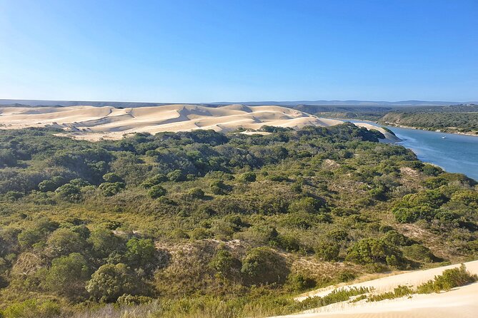 2 Day Addo Elephant Park Safari - Getting There and Back