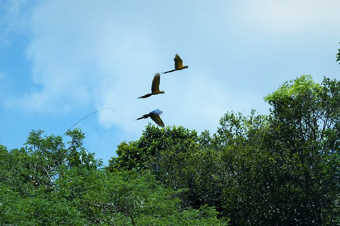 2-Day Camping Tour to Pacaya-Samiria National Park From Iquitos - Questions About Your Stay