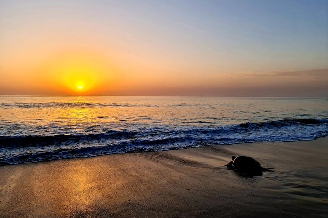 2-day Private Tour to Ras Al Hadd - Frequently Asked Questions