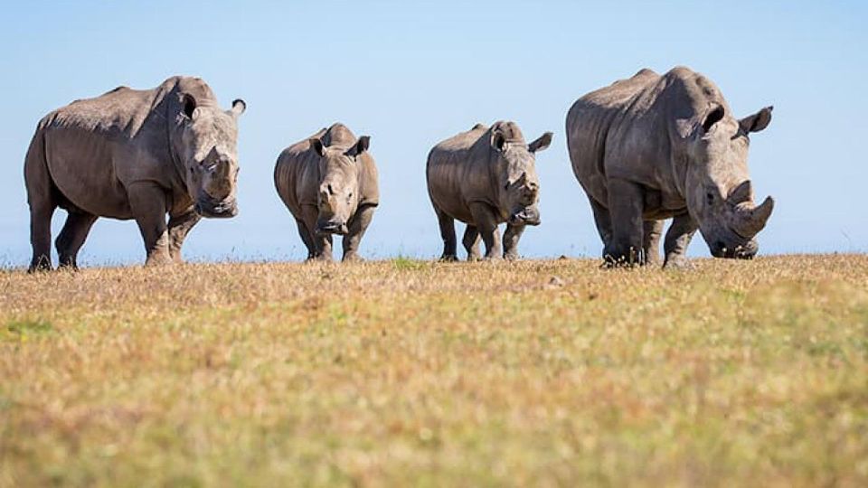 2 Day Small Group Cape Town: Garden Route Big 5 Safari Tour - Cancellation Policy