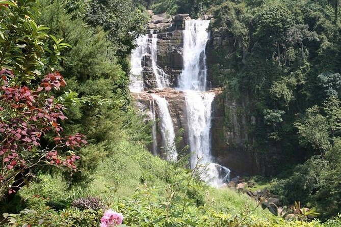 2 Day Tour of Yala & Ella With Hill Country Scenic Train Ride - All Inclusive - Reviews and Testimonials