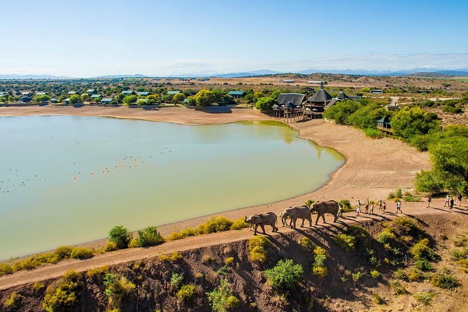 2 Day Wild Heart Western Cape Safari Tour With Private Transfers - Booking and Cancellation Policies