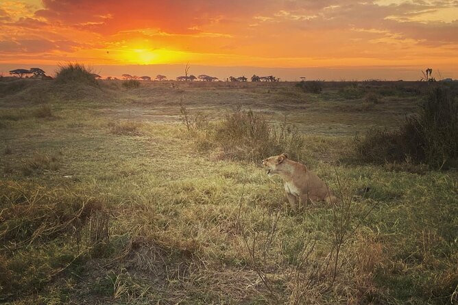 2- Day Wildlife Tour & Tanzanite Mining Discovery - Tanzanite Mining Experience