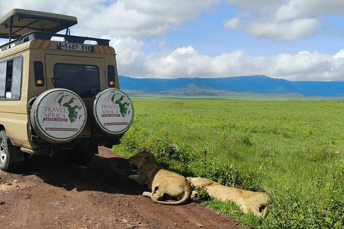 2 Days Group to Tarangire & Ngorongoro Lodge Safari Tanzania - Booking Information