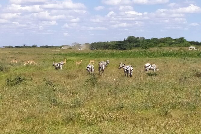 2 Days Maasai Mara National Reserve Safari From Nairobi - Booking and Reservation