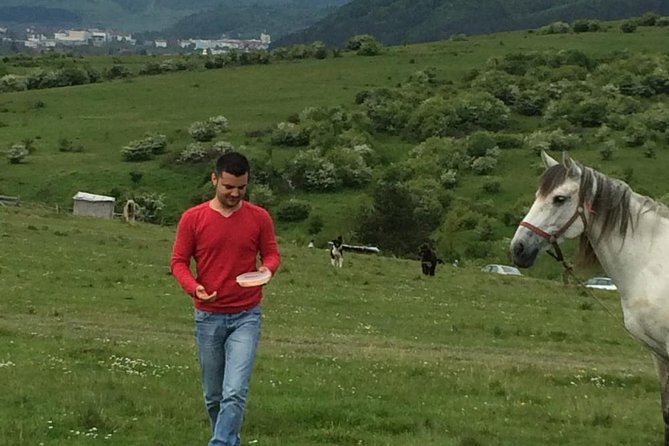 2 Days Private Tour Transfagarasan Road & Sibiu (June - October) From Bucharest - Cancellation and Pricing