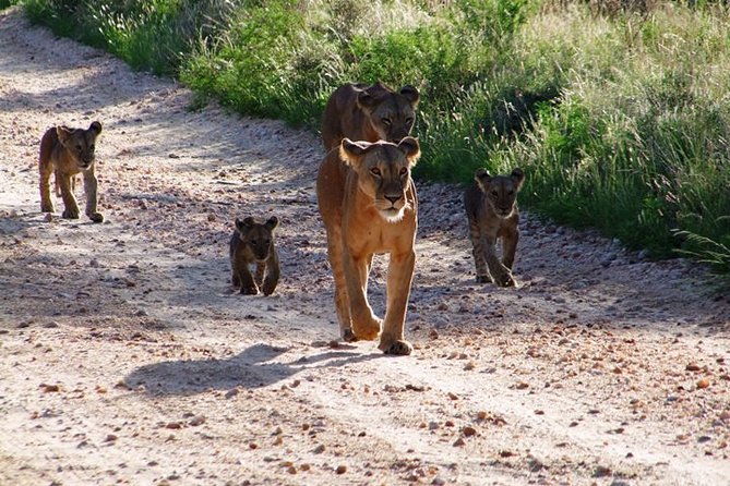 2 Days Tsavo East and Ngutuni Sanctuary Starting From Mombasa. - Frequently Asked Questions