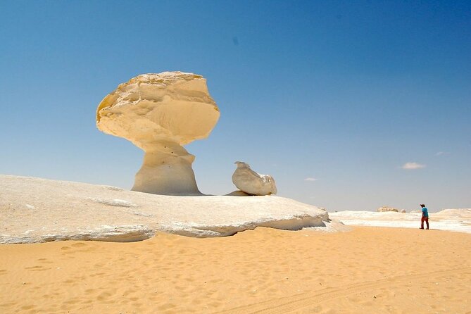 2 Days White Desert And Bahariya Oasis Tour - Traveler Experiences
