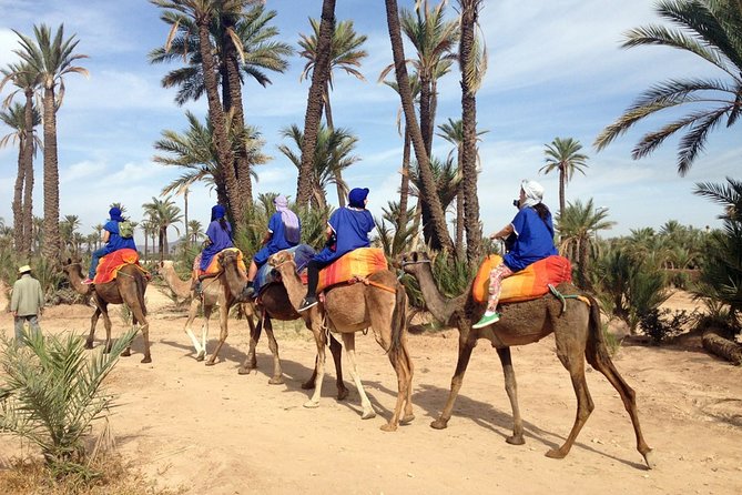 2-Hour Quad Bike & Camel Ride in Marrakech Palmeraie - Optional Add-Ons