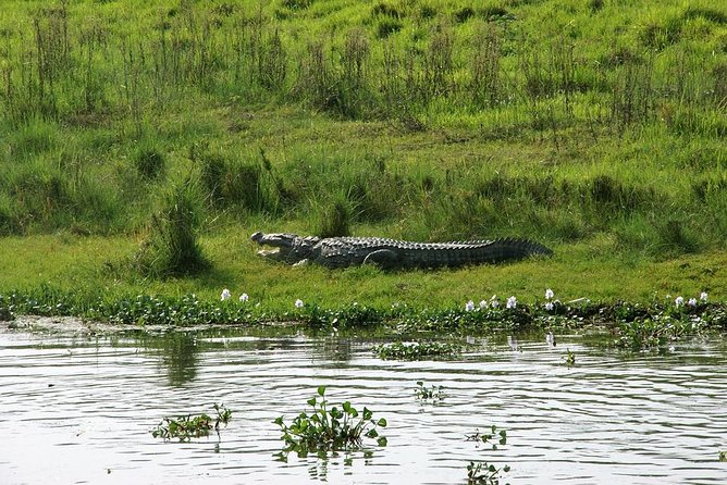 3-Day Chitwan Jungle Safari Tour From Kathmandu - Important Travel Information