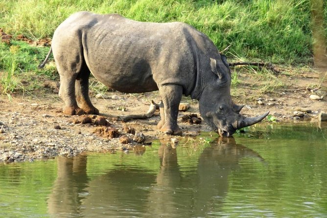 3 Day Kruger National Park and Crocodile River Safari - Frequently Asked Questions