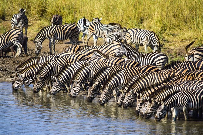 3-Day Tour of Kruger National Park From Skukuza Airport - Pricing and Cancellation Policy