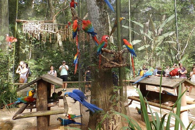 3 Days and 2 Nights 3 Stars Hotel Iguassu Falls - Private Tours - Reviews and Ratings