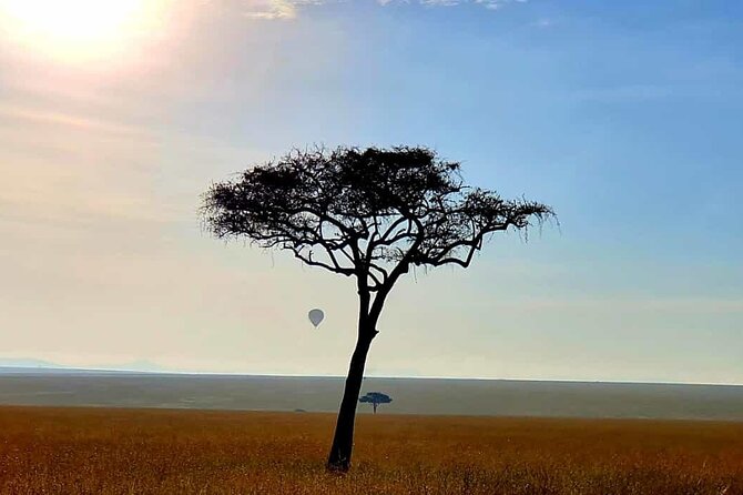 3 Days Best of Maasai Mara Budget Safari - Exceptional Value and Customer Satisfaction