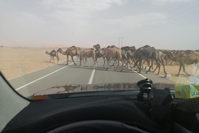3 Days Desert Tour Fes to Marrakech With 2 Nights in Merzouga - Exploring the Sahara Dunes