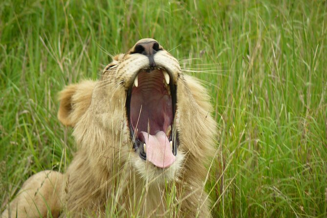 3 Days Durban Safari Tour Package - Traveler Reviews and Ratings