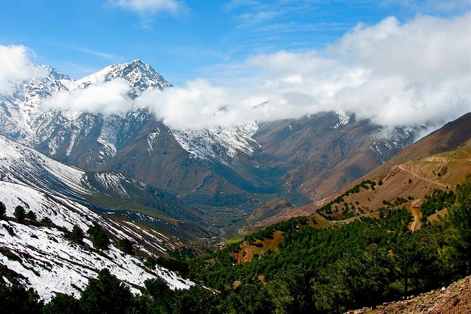 3-Days High Atlas Mountains Hiking Tour From Marrakech - Traveler Feedback
