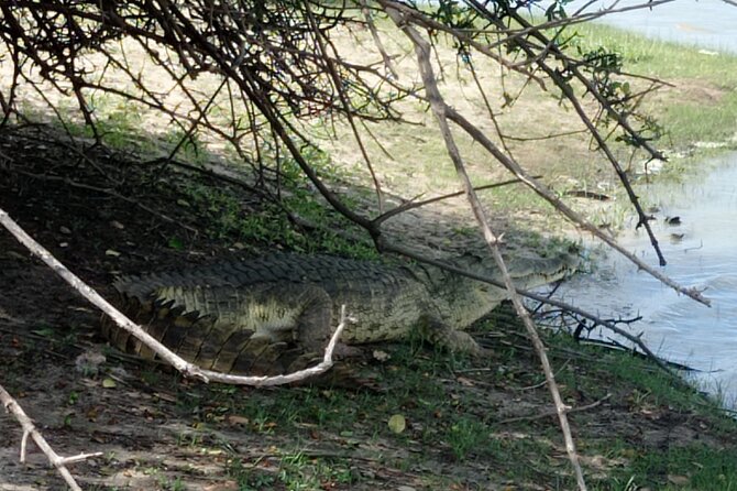 3 Days Selous (Nyerere National Park) - Pricing and Cancellation Policy