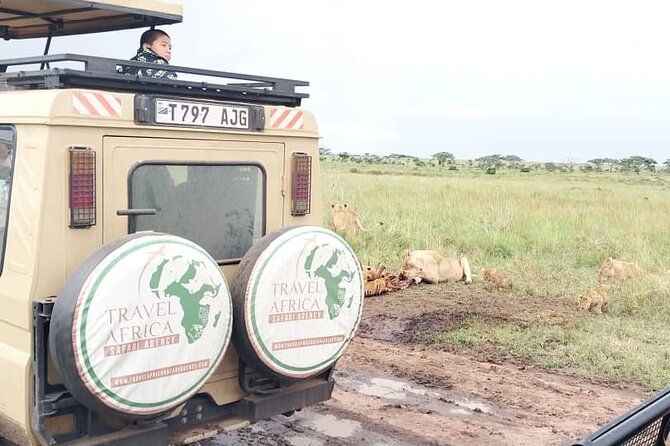 3 Days Small Group Safari to Serengeti NP and Ngorongoro Crater Tour in Tanzania - Traveler Reviews and Ratings