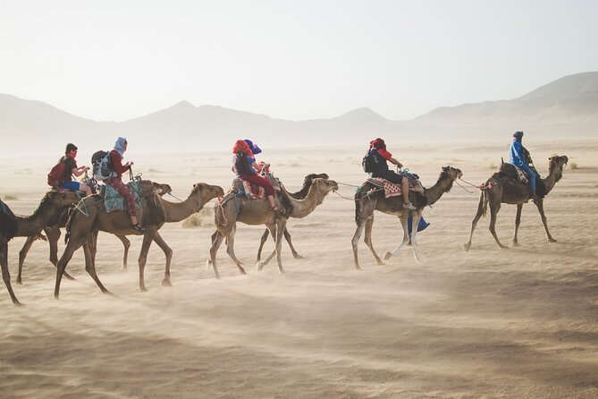 3 Days Tour From Marrakech To Sahara Desert Of Merzouga - Traveler Reviews and Recommendations