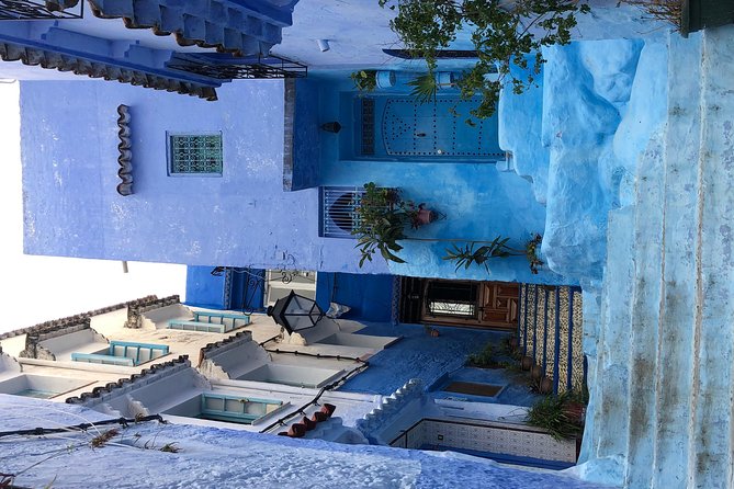 3 Days Tour From Tangier to Fes & Chefchaouen - Traveler Testimonials