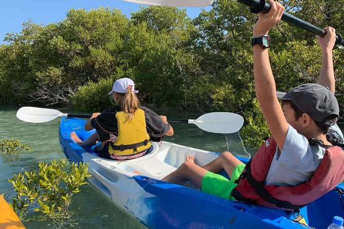 3-Hour Kayaking Eco Adventure - Mangrove Purple Island - Managements Response to Feedback
