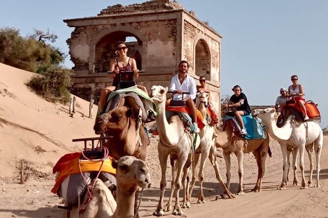 3 Hours Camel Ride in Essaouira, Beach and Dunes - What to Bring and Wear