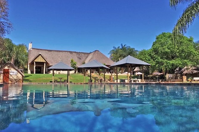4 Day All Incl. Private Kruger Park Safari and Transfer From Nelspruit - Guest Reviews and Ratings