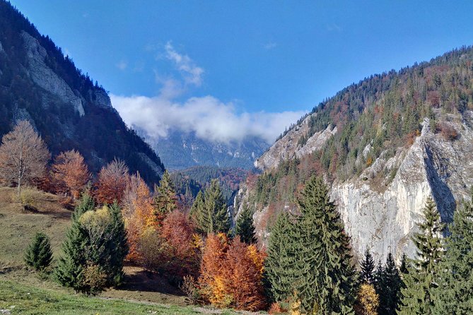 4-Day Carpathian Trek: Bucegi Mountains and Piatra Craiului National Park - Highlights of the Trek