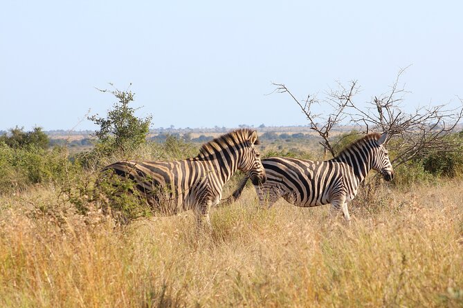4 Day Private Kruger Under Canvas Safari - Frequently Asked Questions