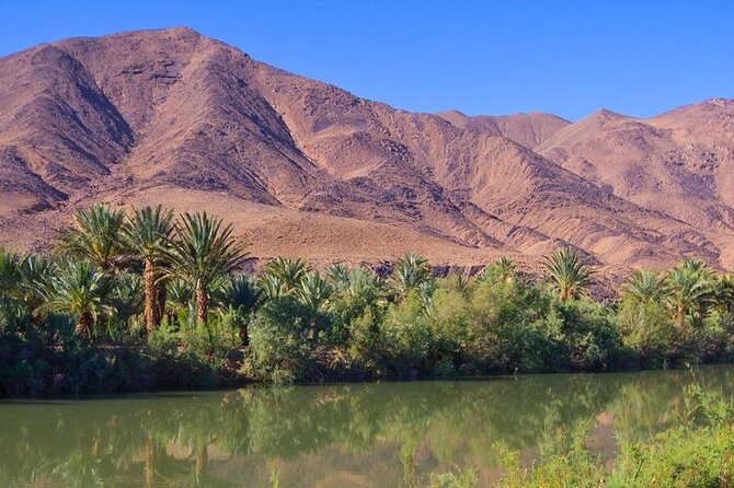 4 Day Sahara Desert Trip From Marrakech: Marrakesh - Sahara Desert - Marrakesh - Booking Process and Tips
