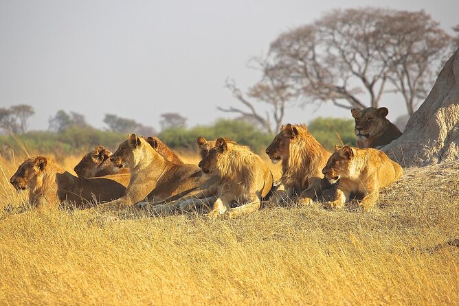 4 Day: Taste of Wildlife - Booking and Cancellation Policy