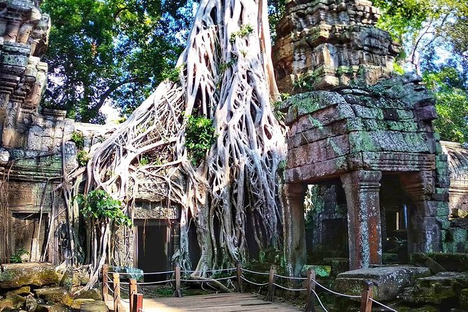 4-Day Tour(The Amazing Face, Jungle of Temple & Holy Clay) - Local Insights