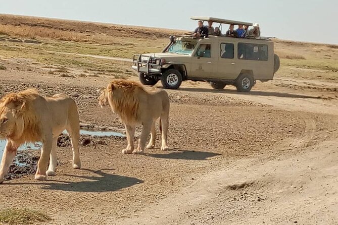 4 Days, 3 Nights Group Budget Safari, Lake Manyara, Serengeti, Ngorongoro - Booking and Cancellation