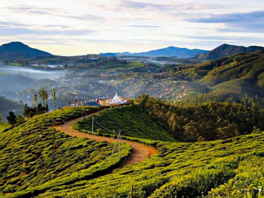 4 Nights 5 Days-Muslim Halal Tour With Nuwara Eliya - Important Information