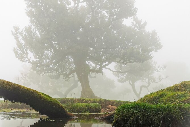 4x4 Jeep Tour to the West & Northwest of Madeira - Experience Highlights