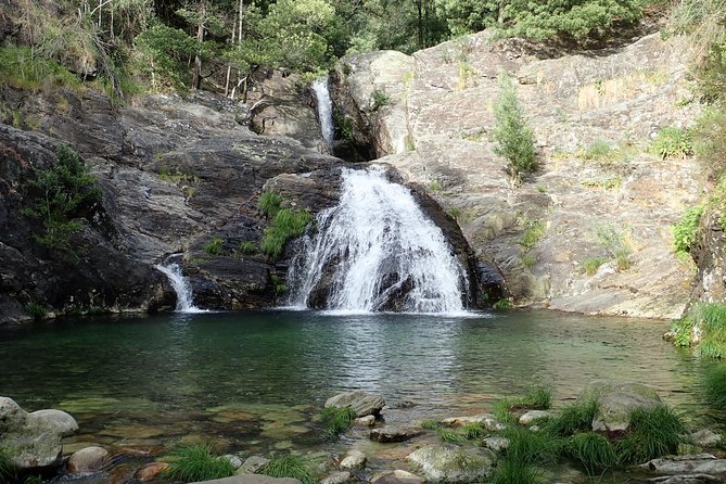 4X4 Tour - Discovering Serra D'arga - Customer Testimonials