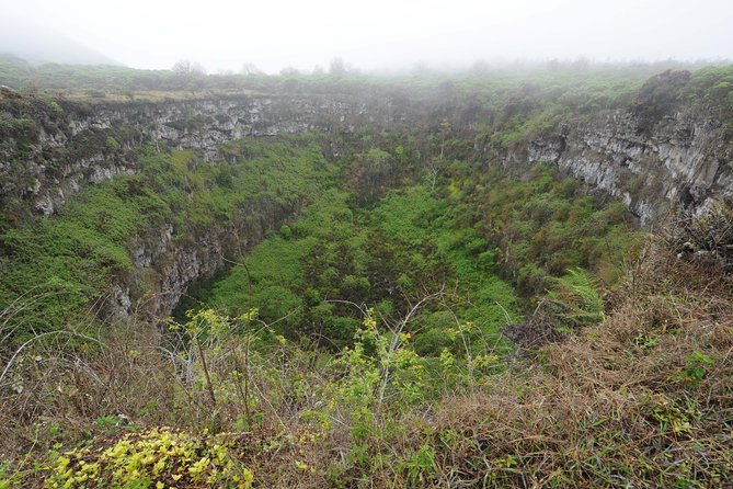5-Day All-Inclusive Galapagos: Isabela and Santa Cruz Island - Departure and Transfer to Airport
