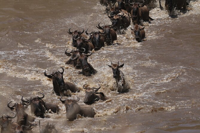 5-Day Private Northern Tanzania Safari From Arusha - Health and Safety