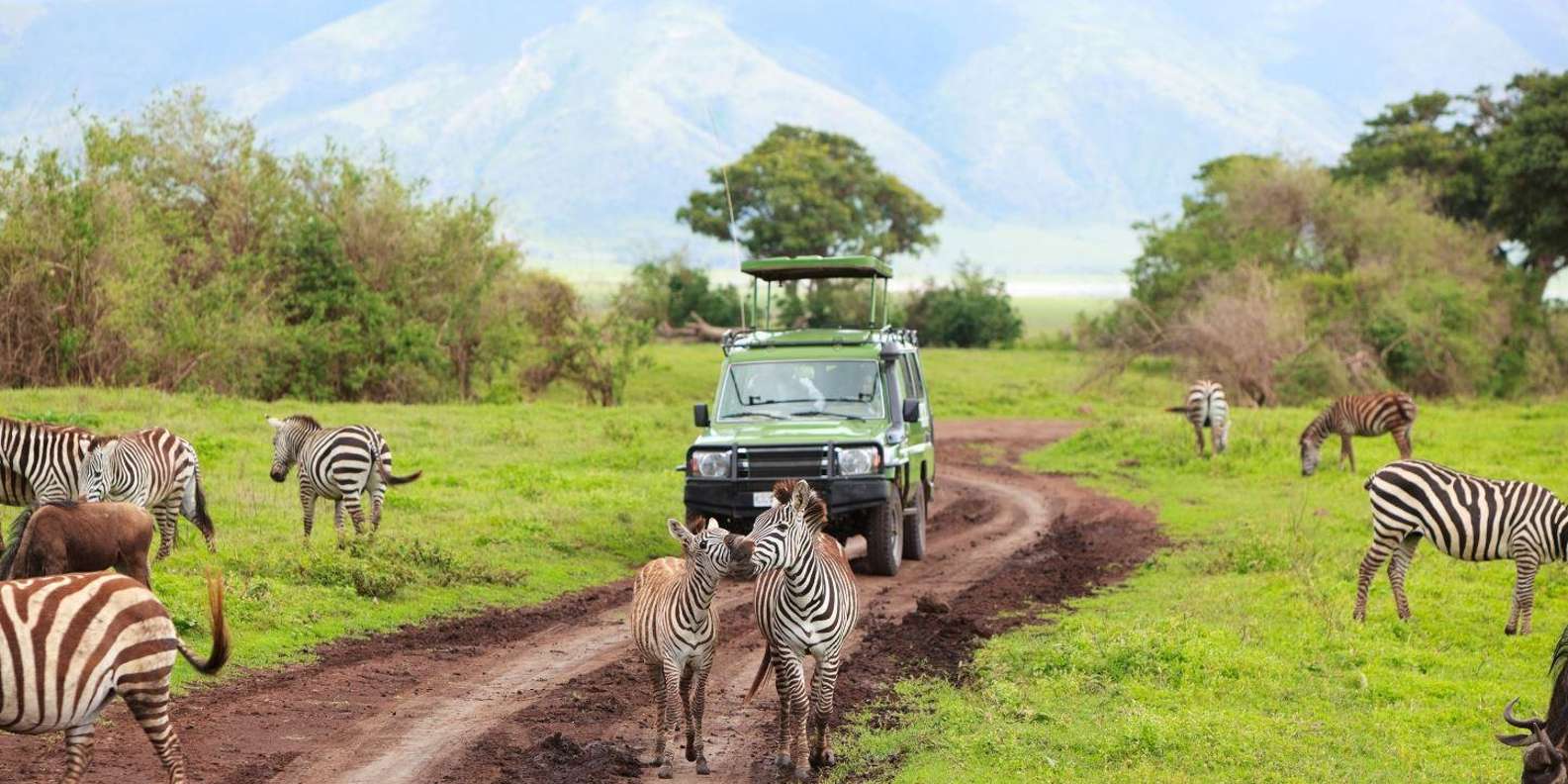 5 Day Zululand Tour From Durban - Wildlife Encounters