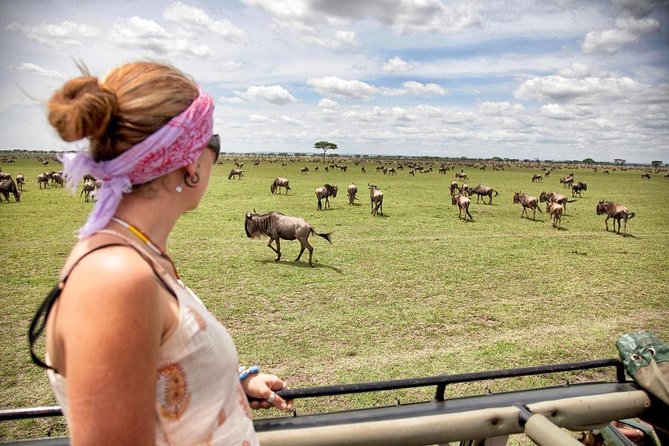 5 Days 4 Nights Tarangire, Serengeti , Ngorongoro & Manyara Wildlife Safari - Traveler Reviews
